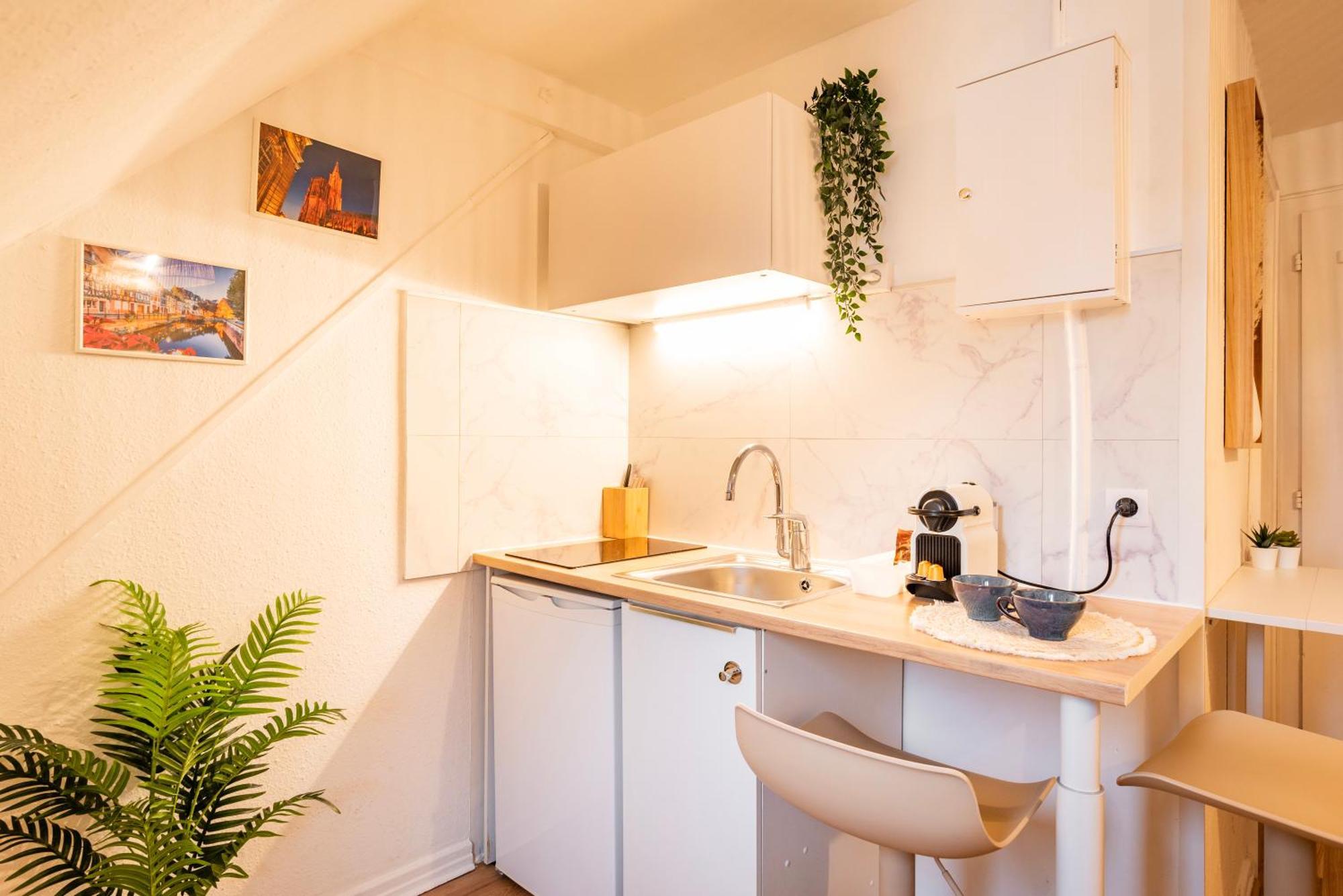 Chez Nolina - Duplex Avec Vues Cathedrale Et Quais * Strasbourg