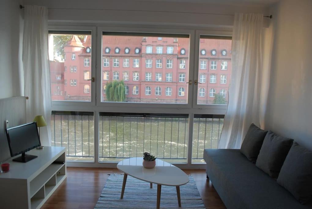 Appartement Petite France, De Charme Vue Sur L'ill