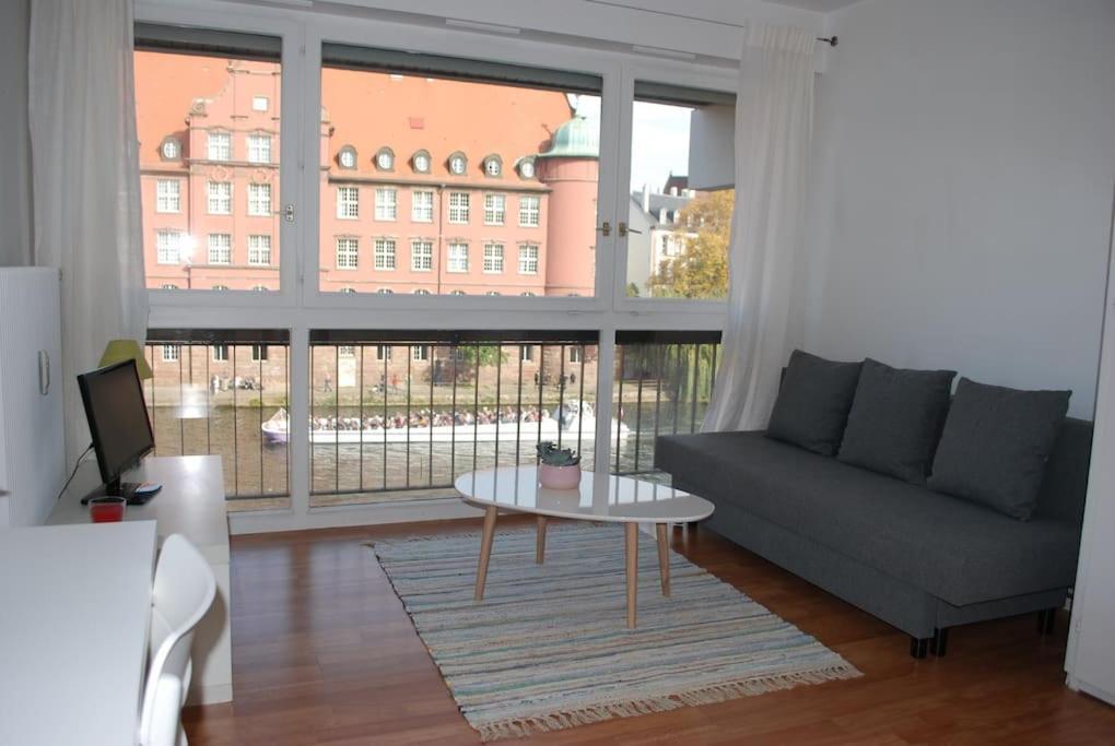 Appartement Petite France, De Charme Vue Sur L'ill Straatsburg