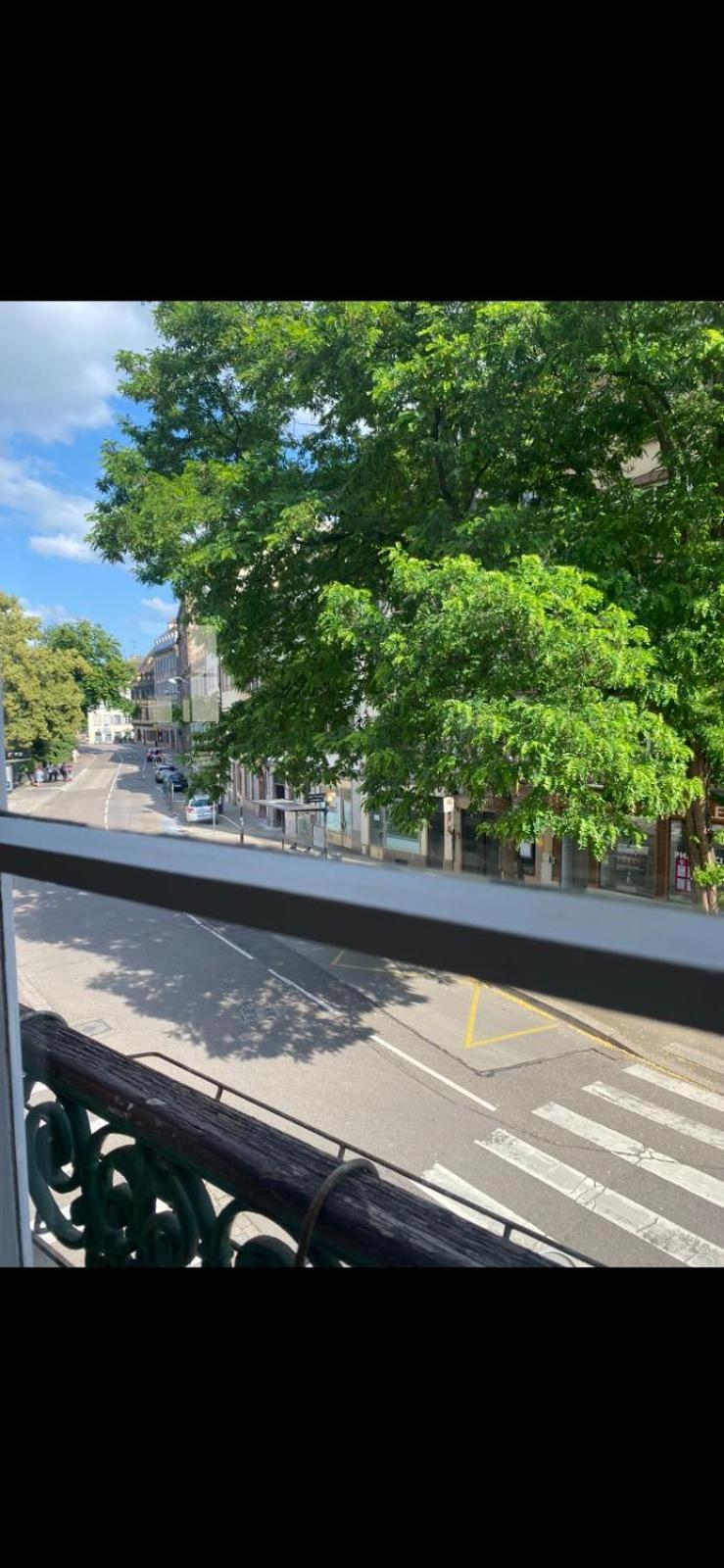 Appartement Spacieux Et Lumineux Au Coeur Du Centre Strasbourg