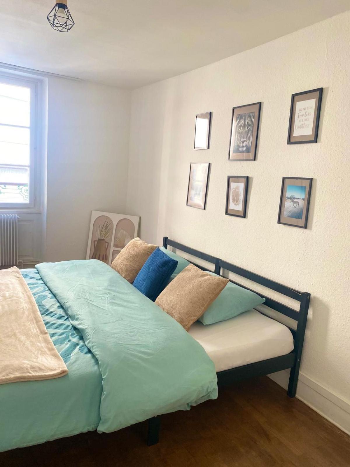 Appartement Spacieux Et Lumineux Au Coeur Du Centre Strasbourg