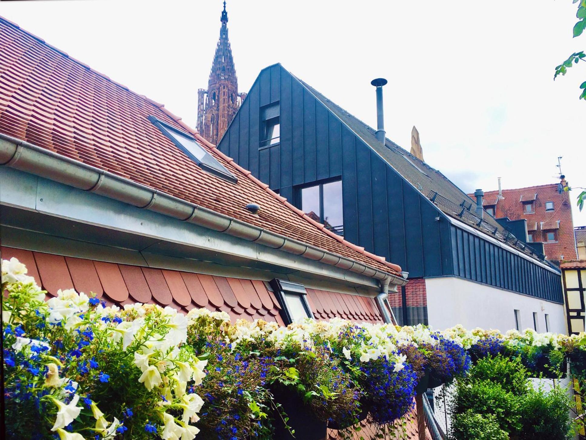 Le Carre D Or Terrasse Vue Cathedrale Appartement