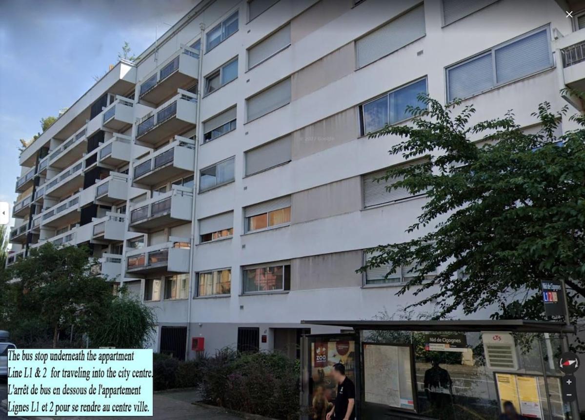 Vue Degagee, Cuisine Moderne Et Wifi Straßburg