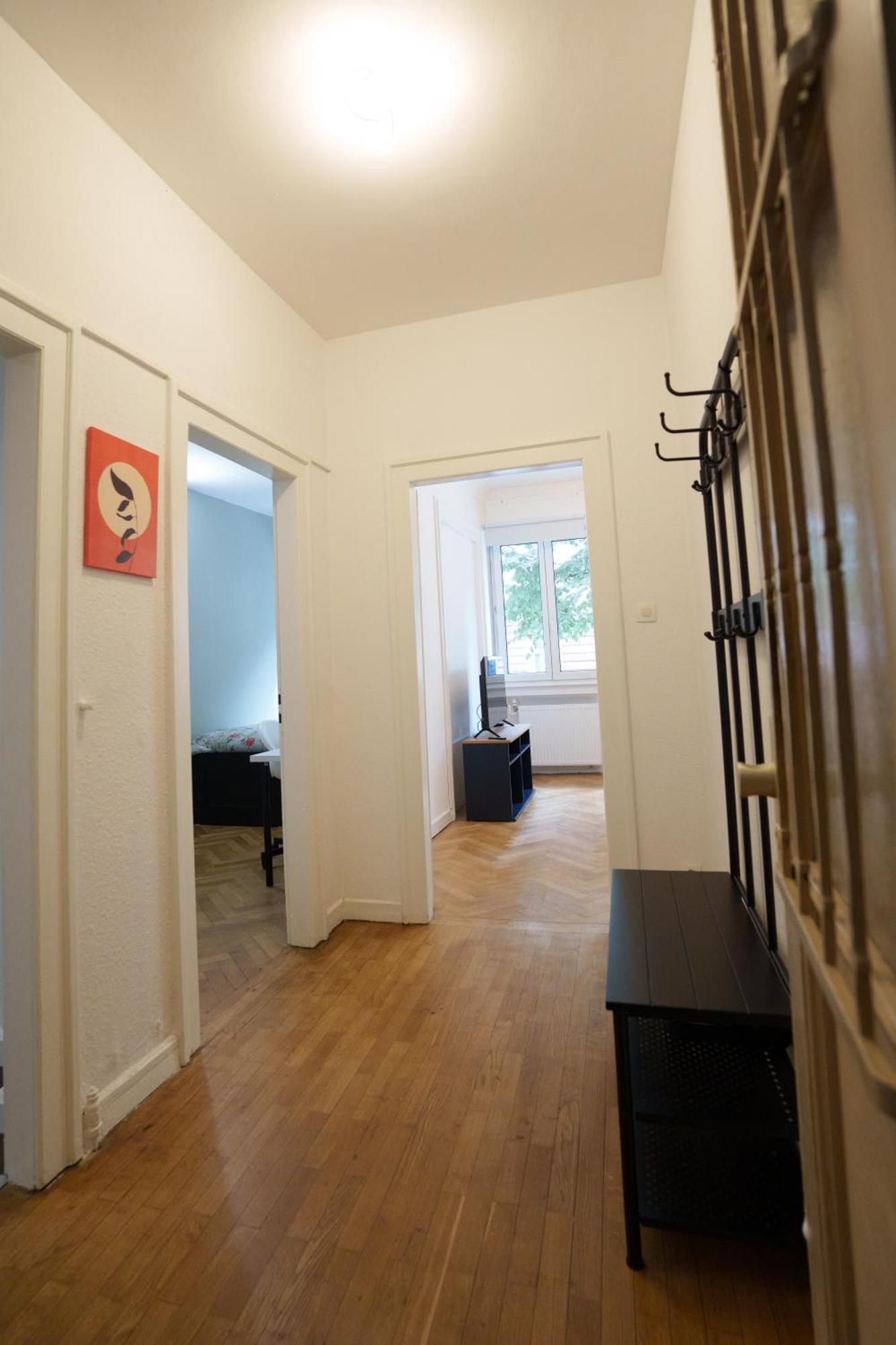 Grand Spacieux Apartment Strasbourg