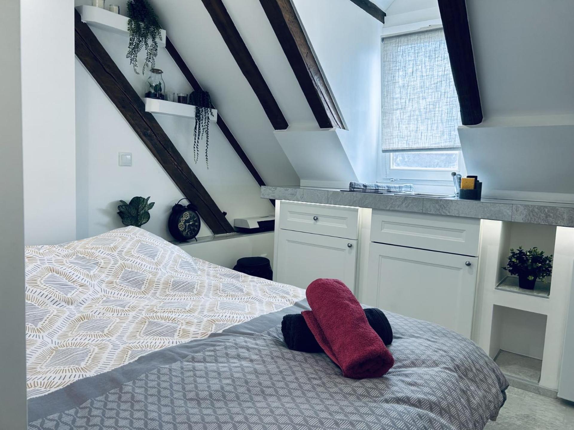 Cocon Au Coeur De Strasbourg