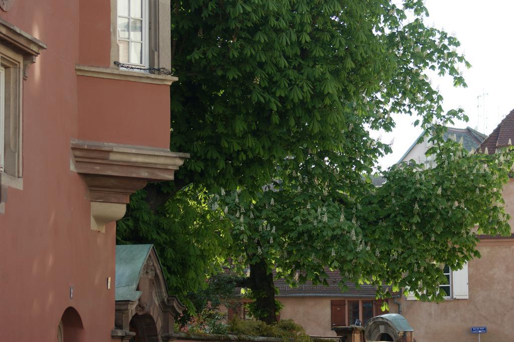 Frühstückspension Quai 17 Straßburg