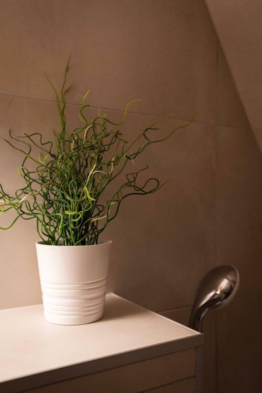 Apartment Citycosy - Authentique Batelier