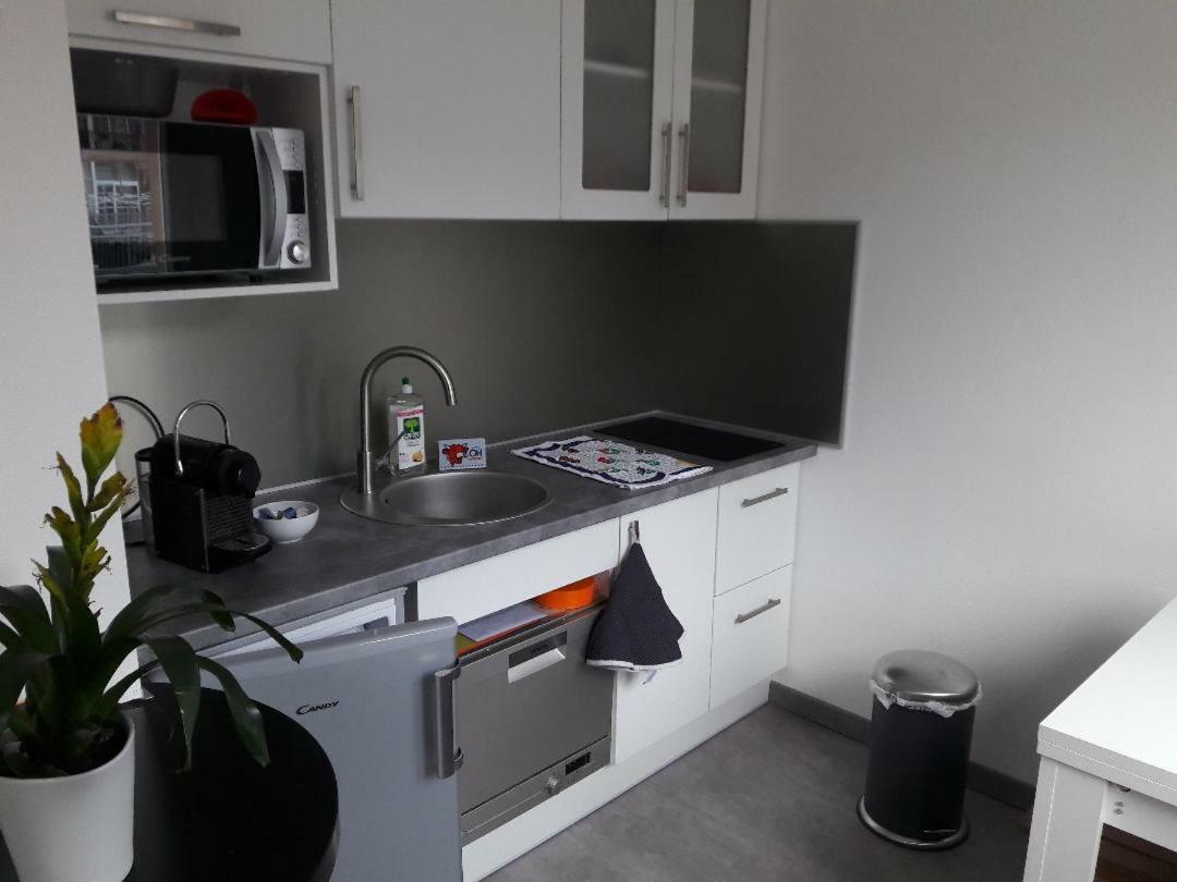 Mathilde's Studio Apartment Strasbourg